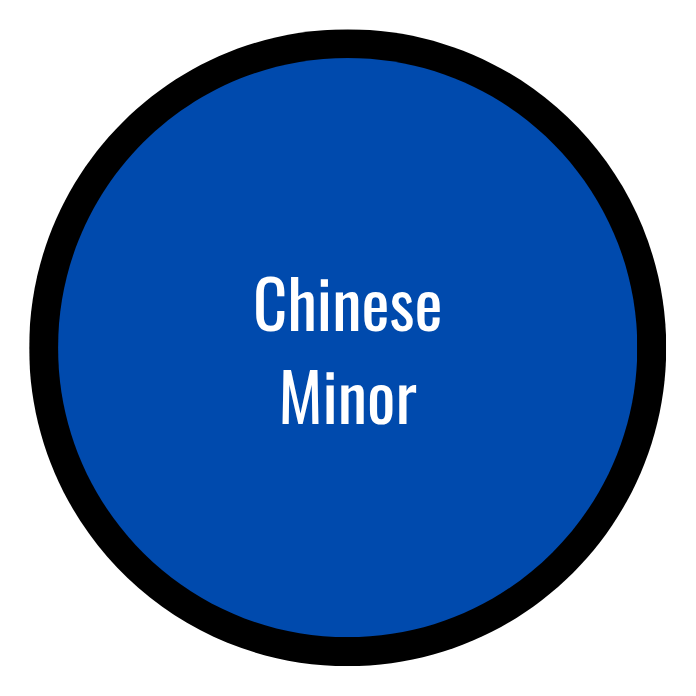 Chinese Minor